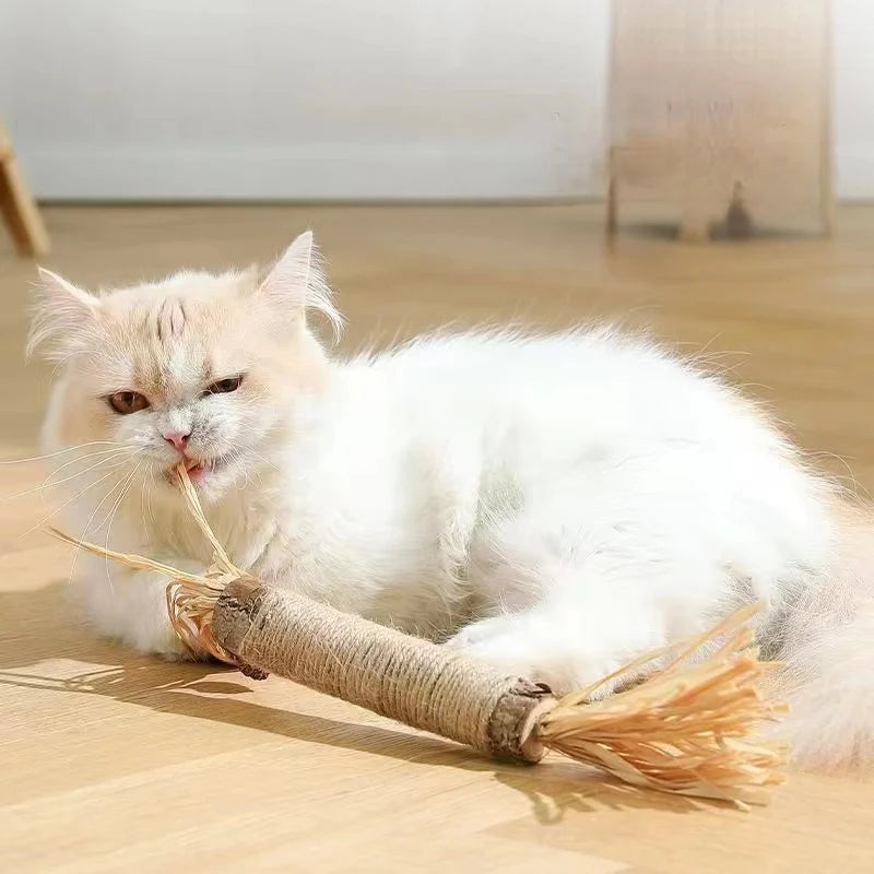 NS Shopping™ | Catnip Cat Toy